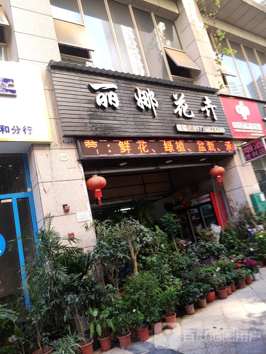 丽娜花卉(碧水天和C区店)