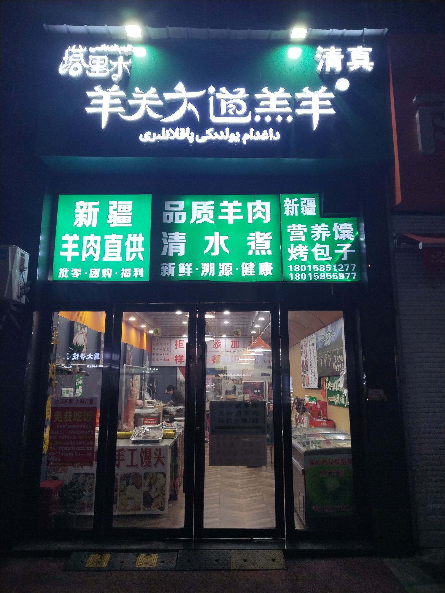 塔里木羊关大道羔羊