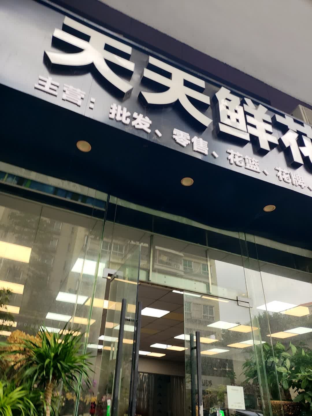 天天鲜花(怡丰路店)