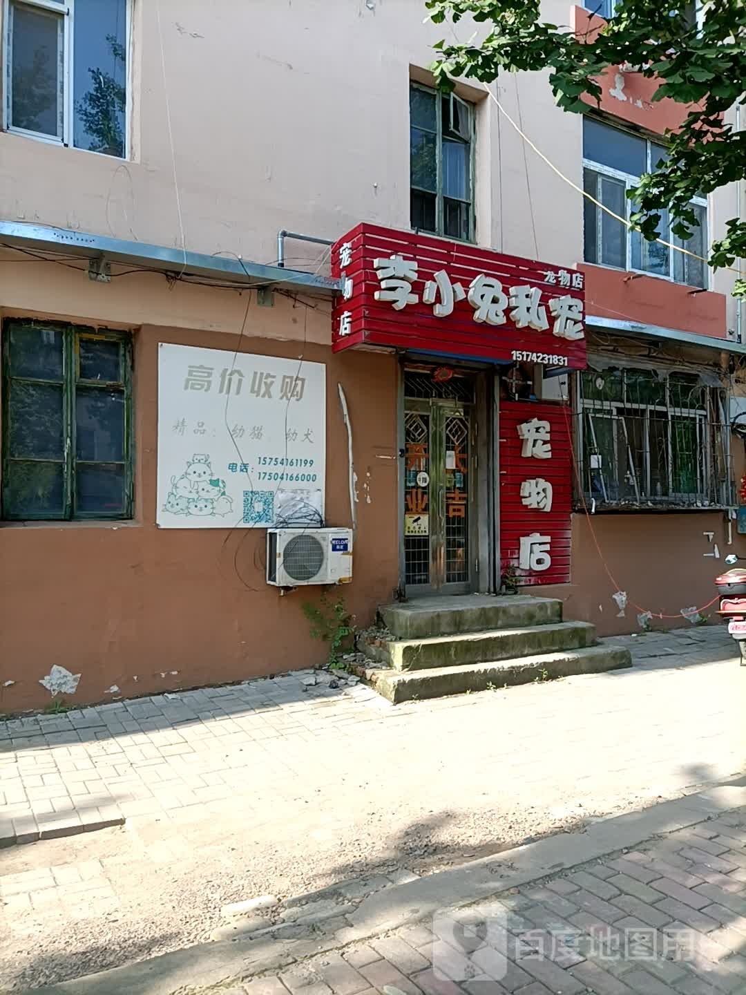 李小兔私宠宠物店