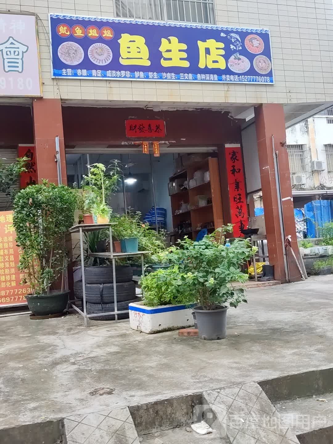 鱿鱼姐姐鱼生店