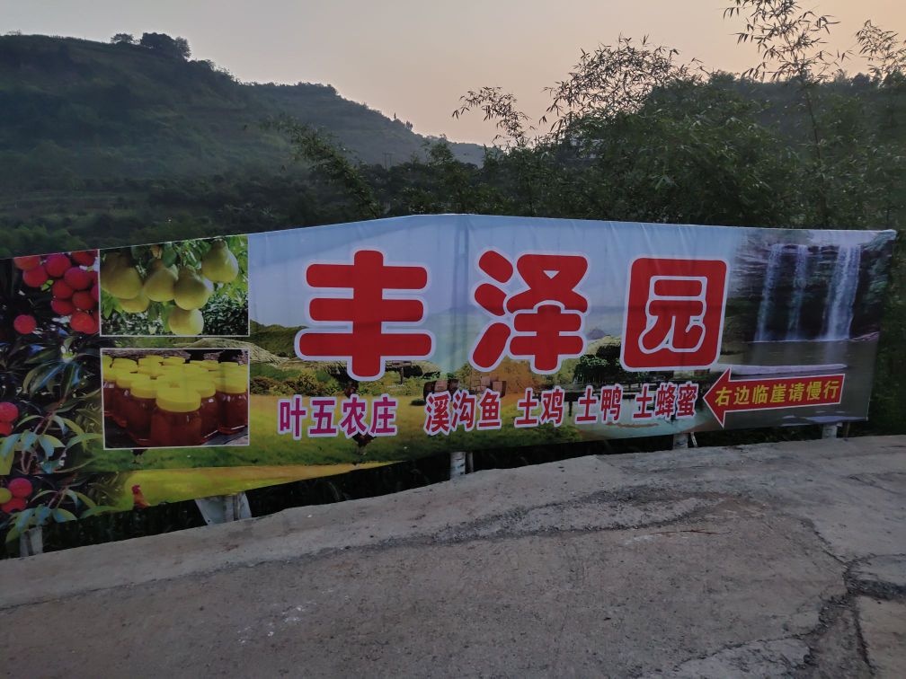 丰泽园叶五农庄垂钓餐饮采摘