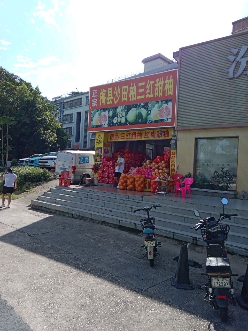 沙田柚蜜柚红肉柚