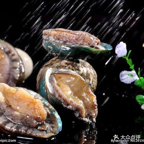 羼怡海东品谇海鲜豆捞(舟宿夜江店)