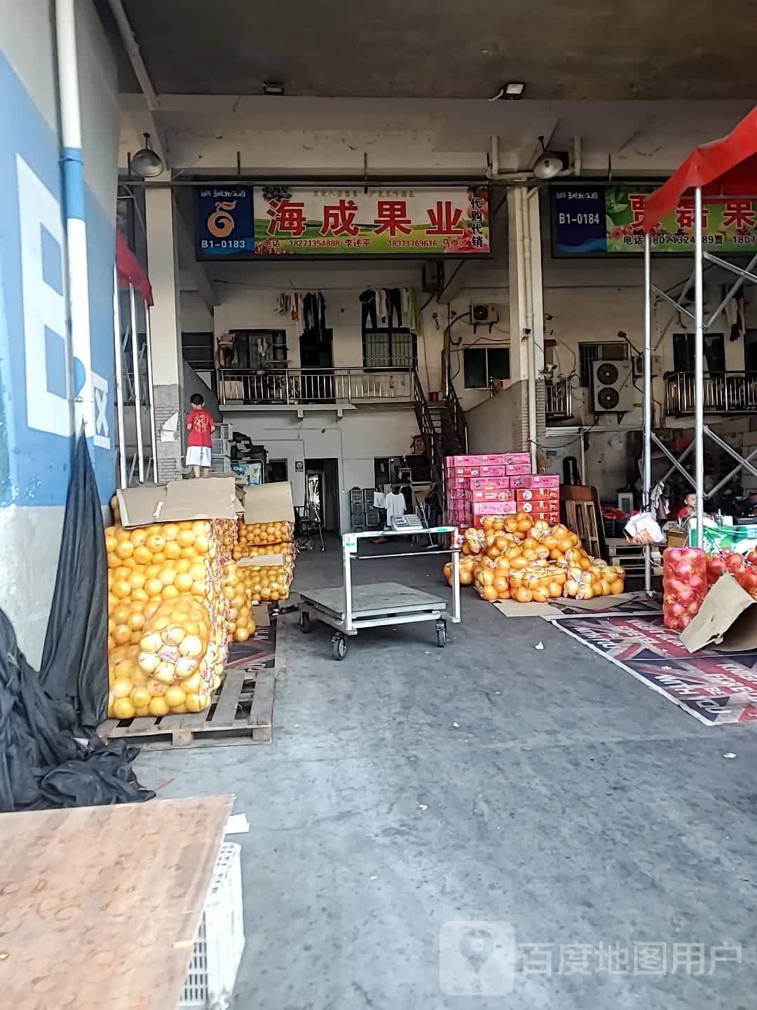 海成果业