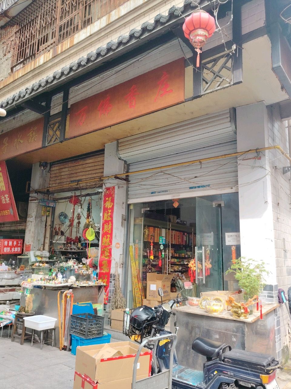 娟子水族(天桥花园店)