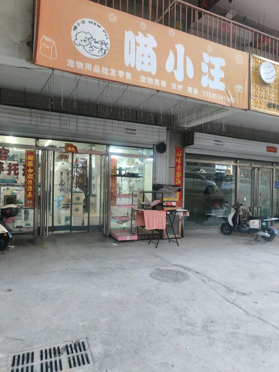 喵小汪宠物店