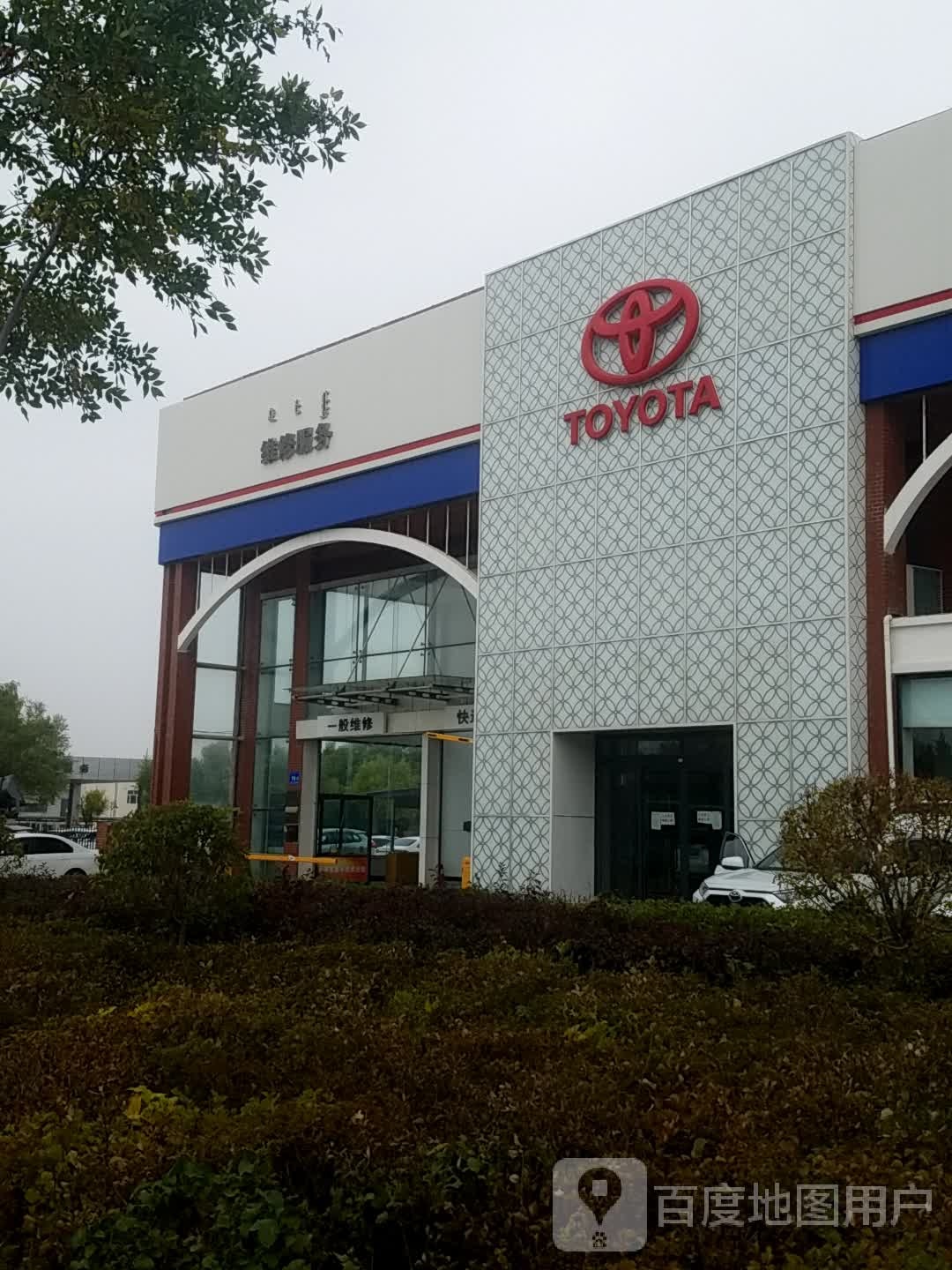 TOYOTA