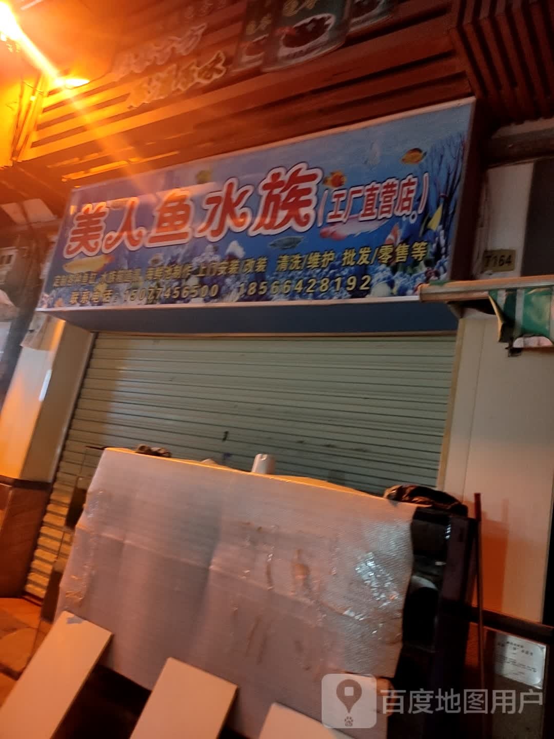 美人鱼水族(丽港分店)