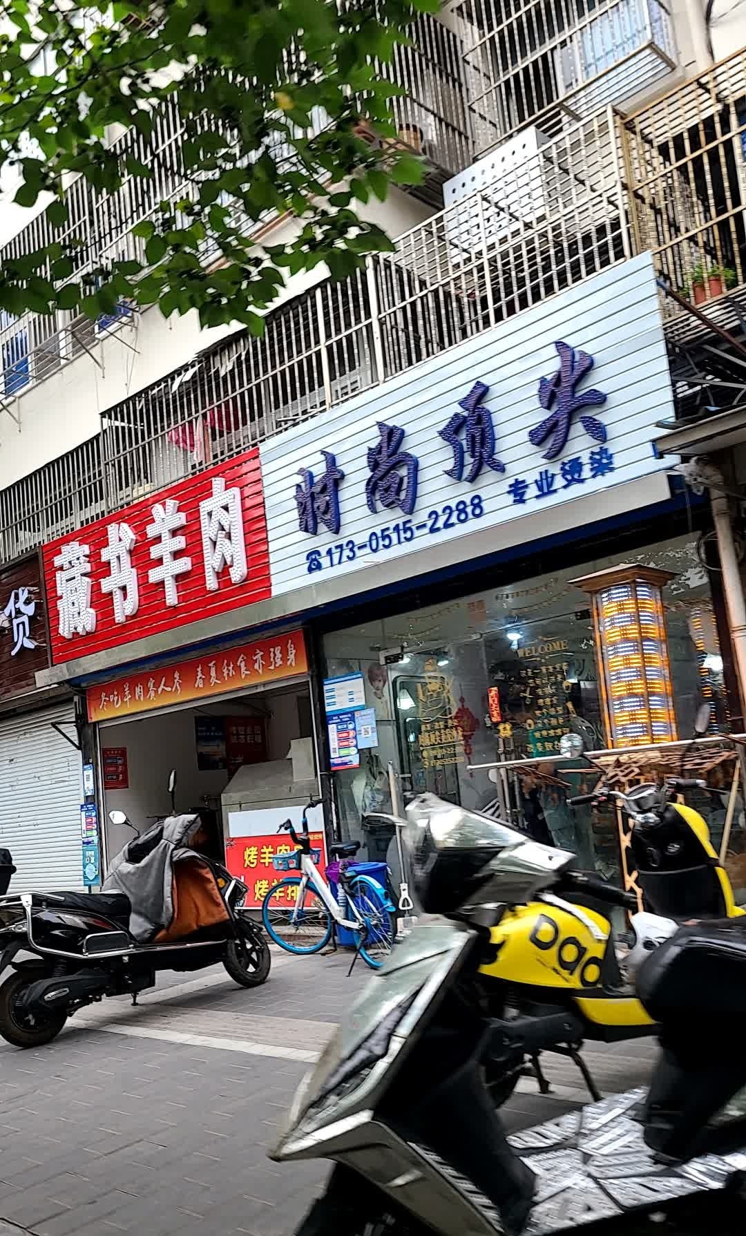 藏书羊肉