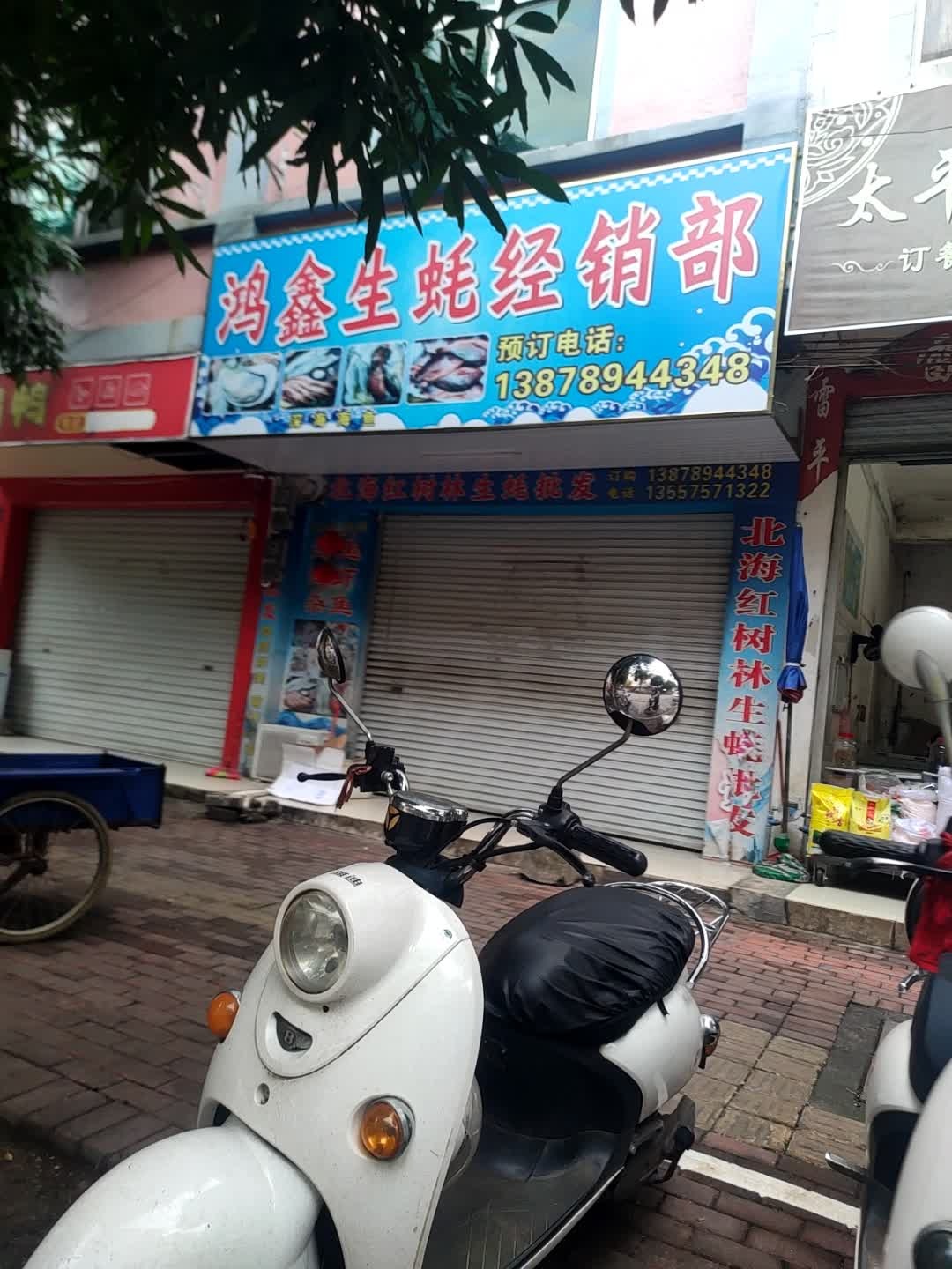 鸿鑫生蚝经销部