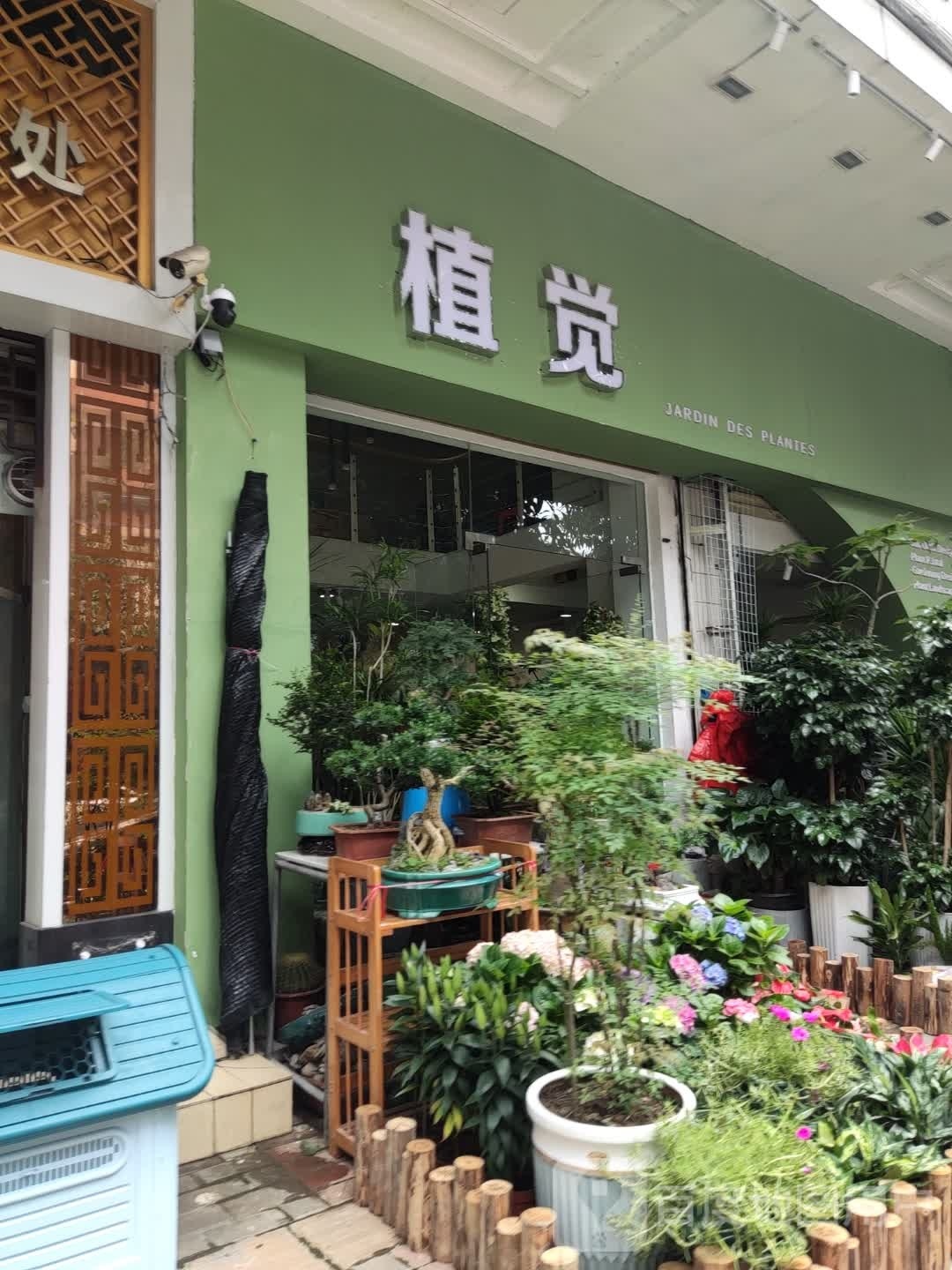 植觉(潮江路店)