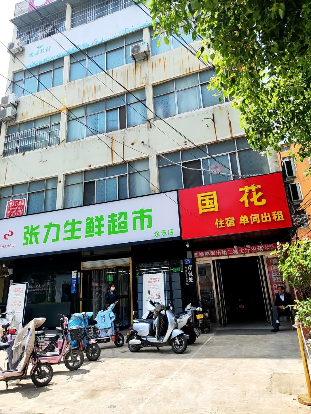 平舆县张力生鲜超市(永乐店)