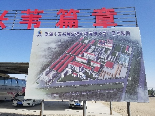 新疆兴苇商务科技有限公司