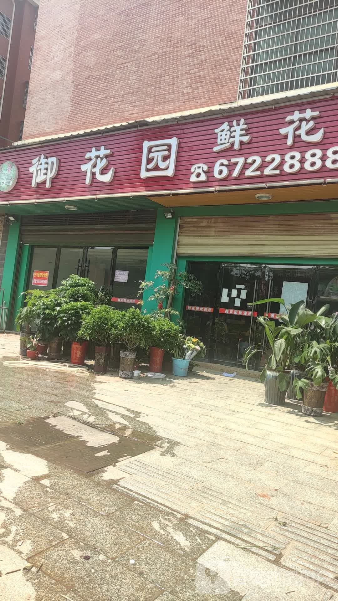 御花园鲜花