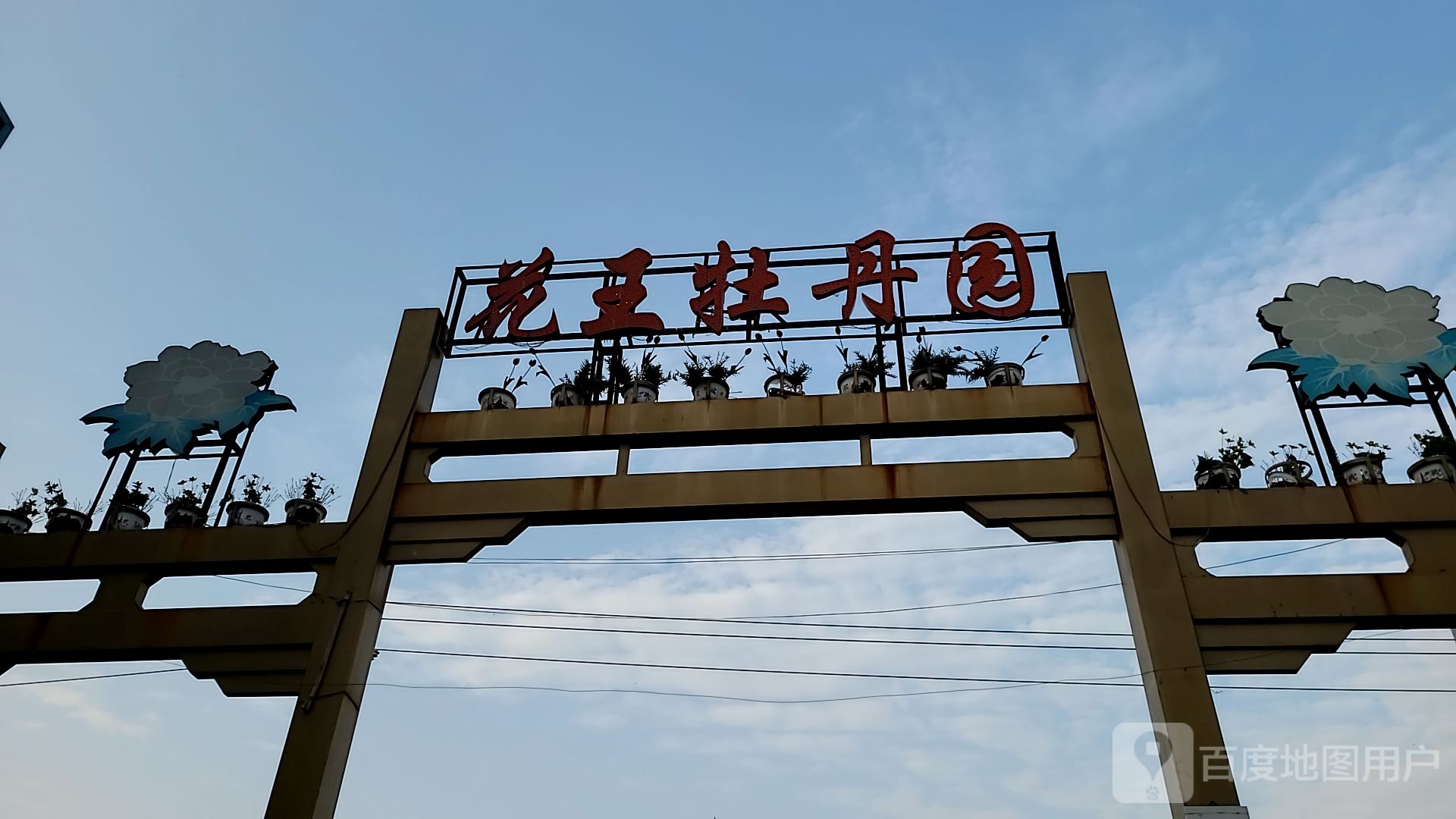 花王牡丹园