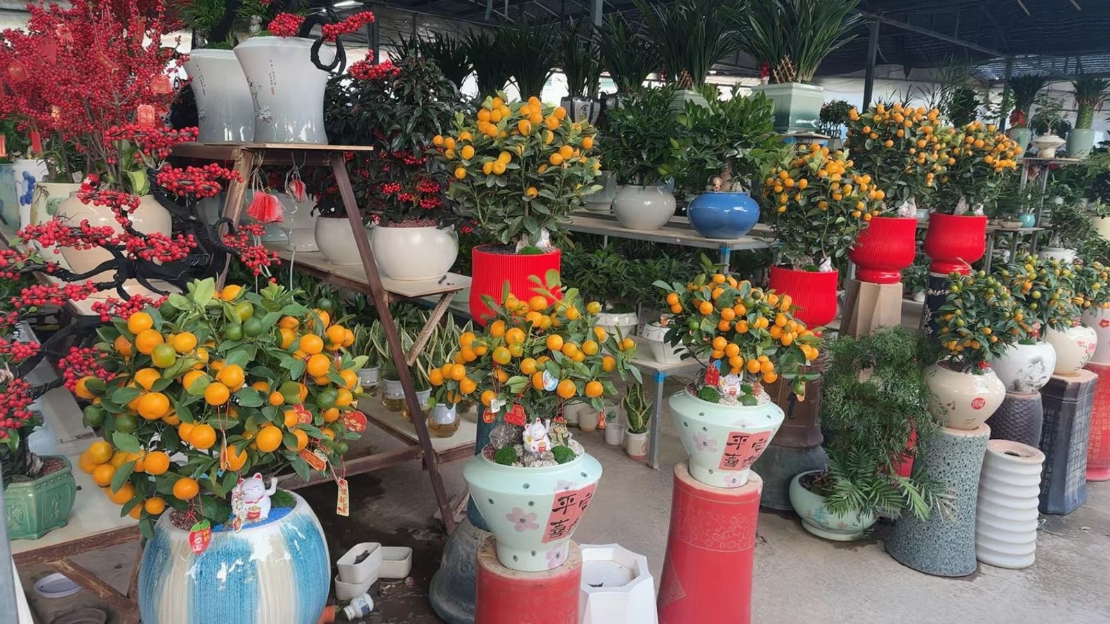 和景园艺园林绿化花店