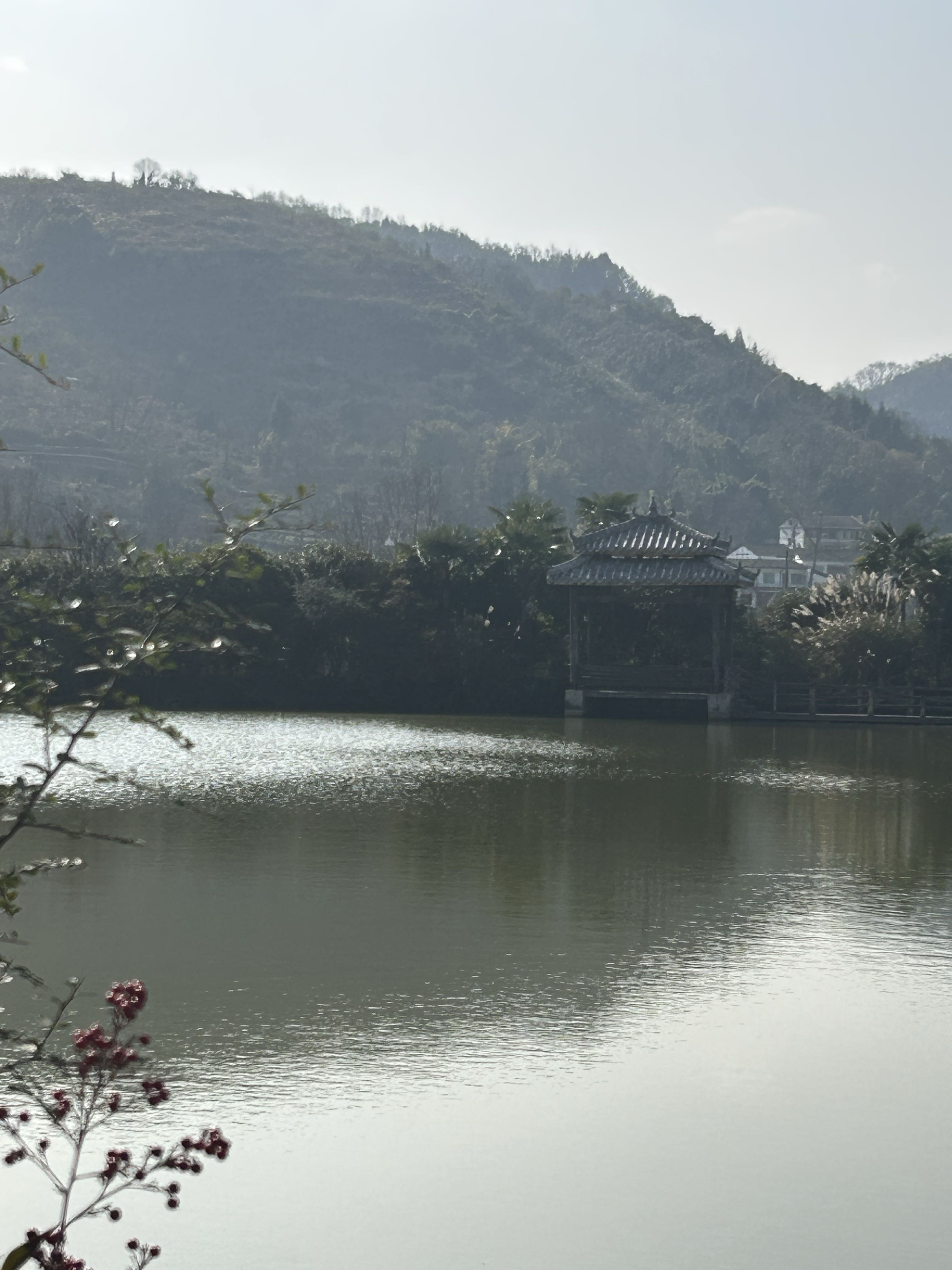 绥阳县紫薇生态园
