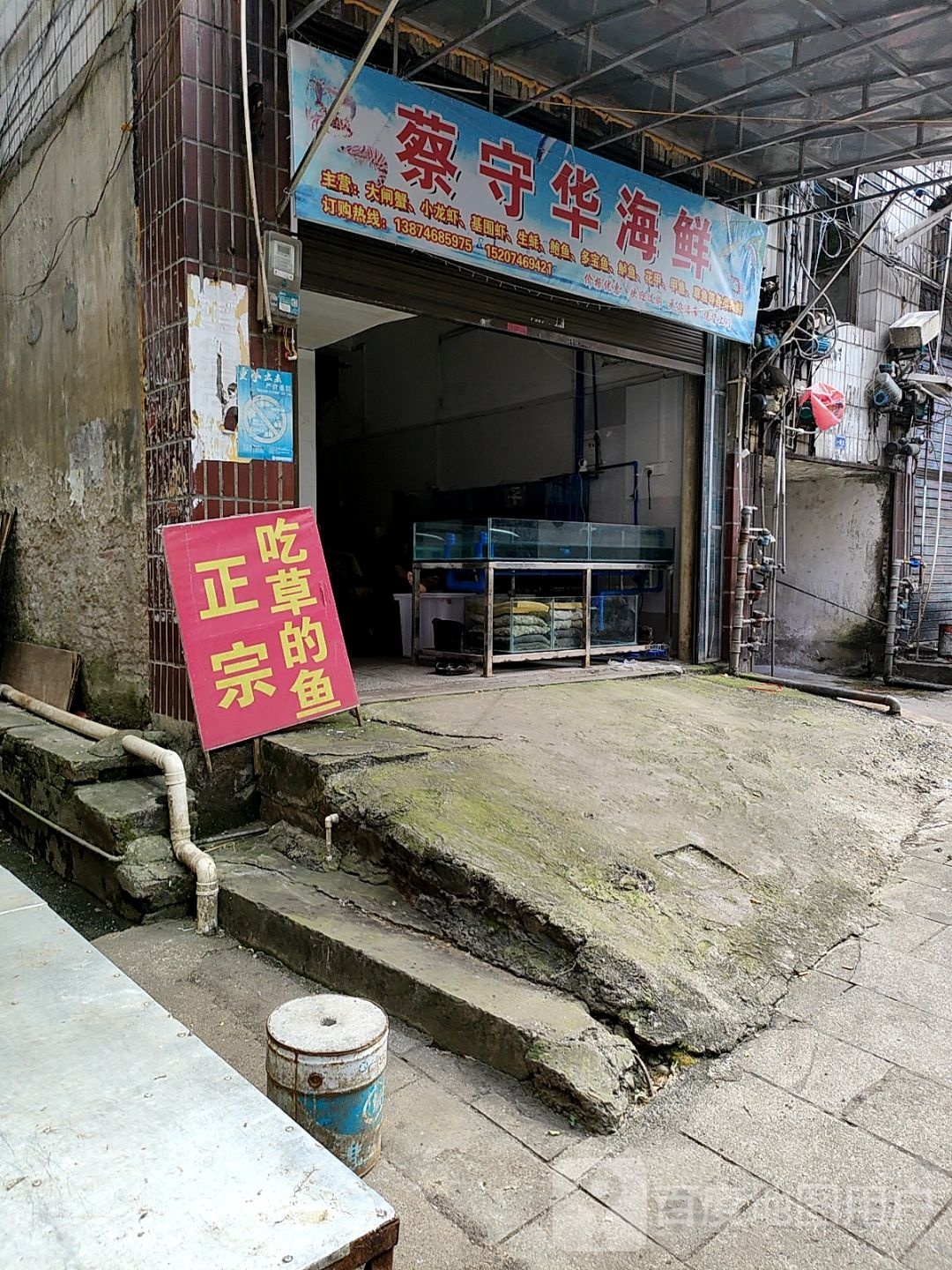 蔡守华海先