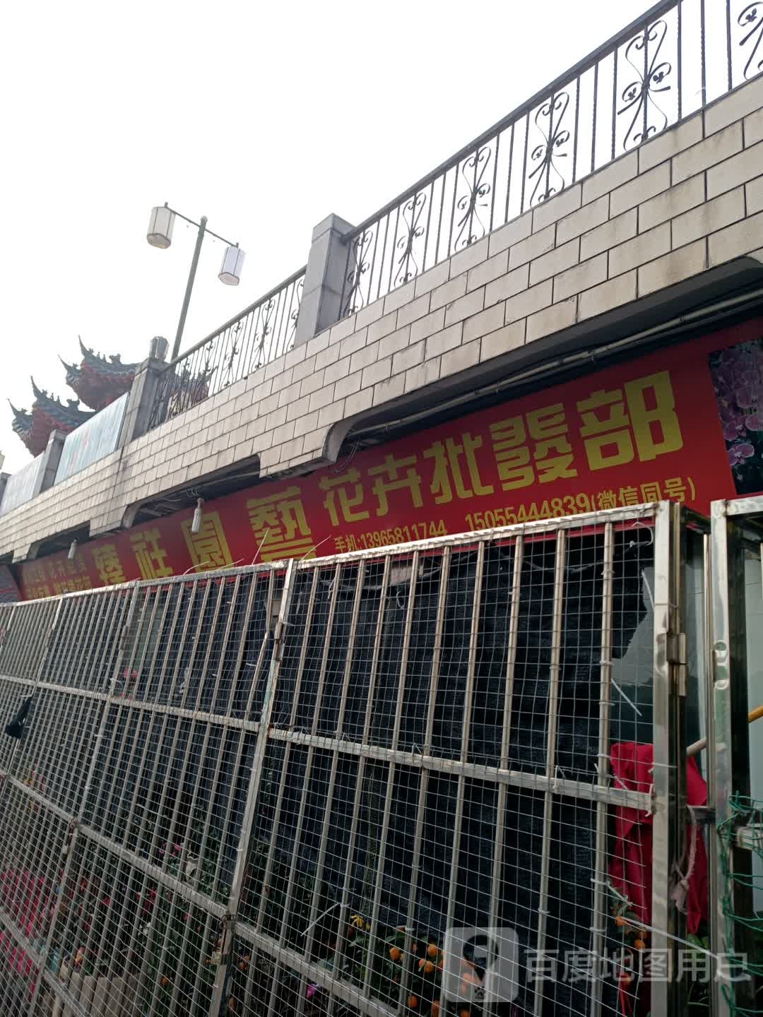 臻祥园艺花卉批发部