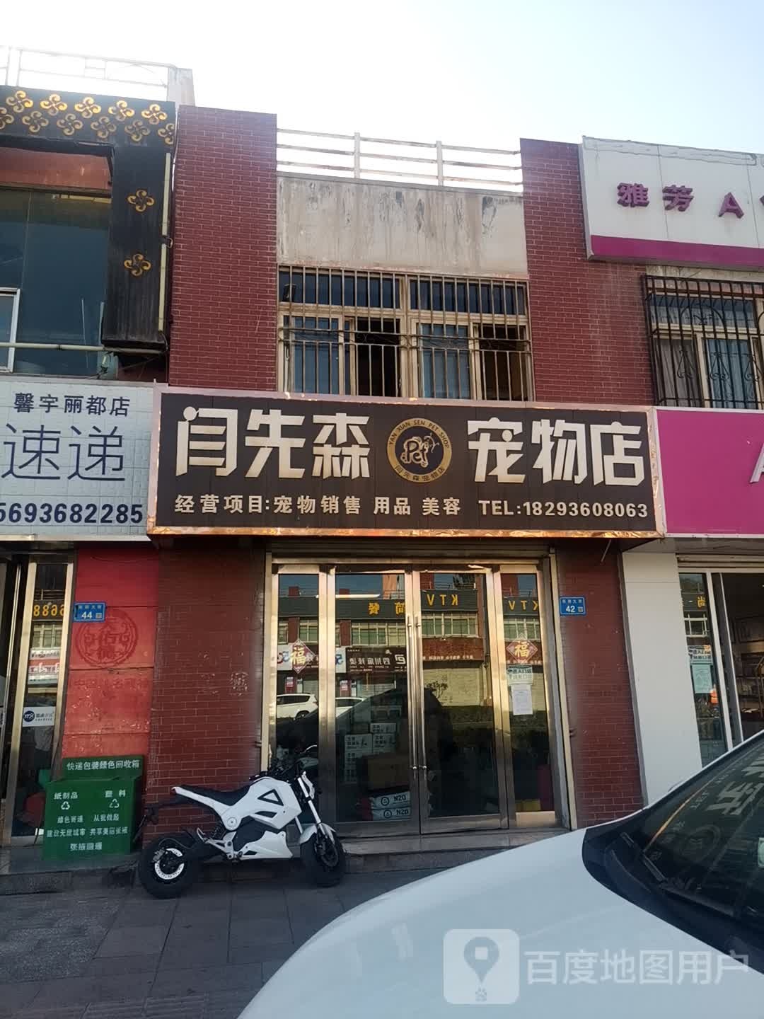 闫先森宠物店