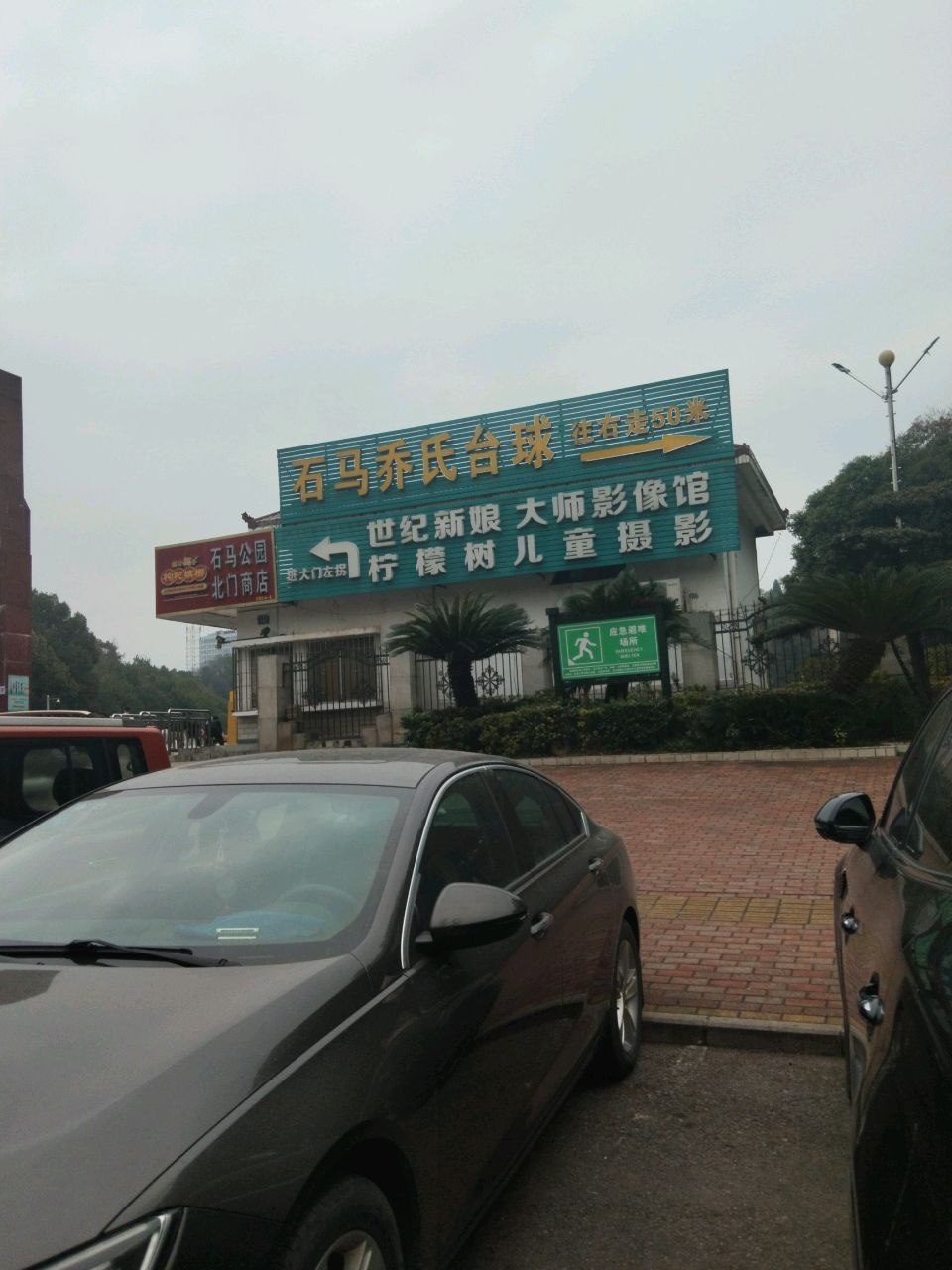 柠檬树儿童摄影