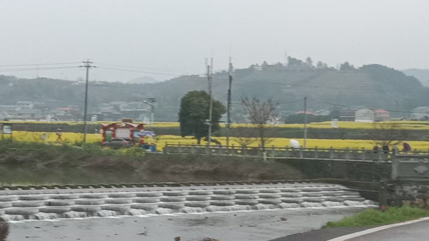会同稻田公园-鱼鳞坝