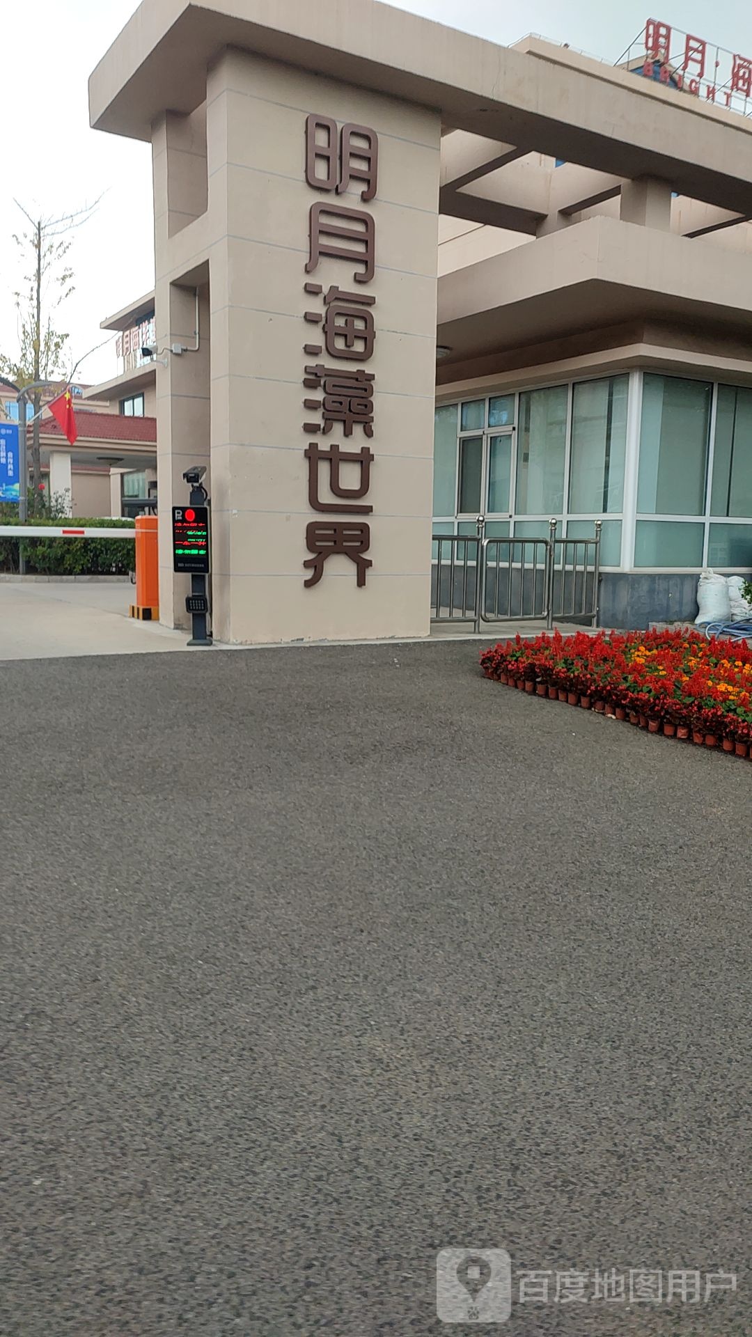 明月海藻世界