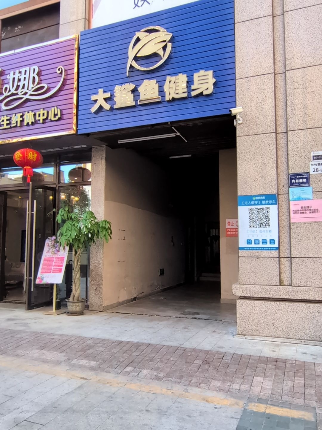大鲨鱼健身聚乐部