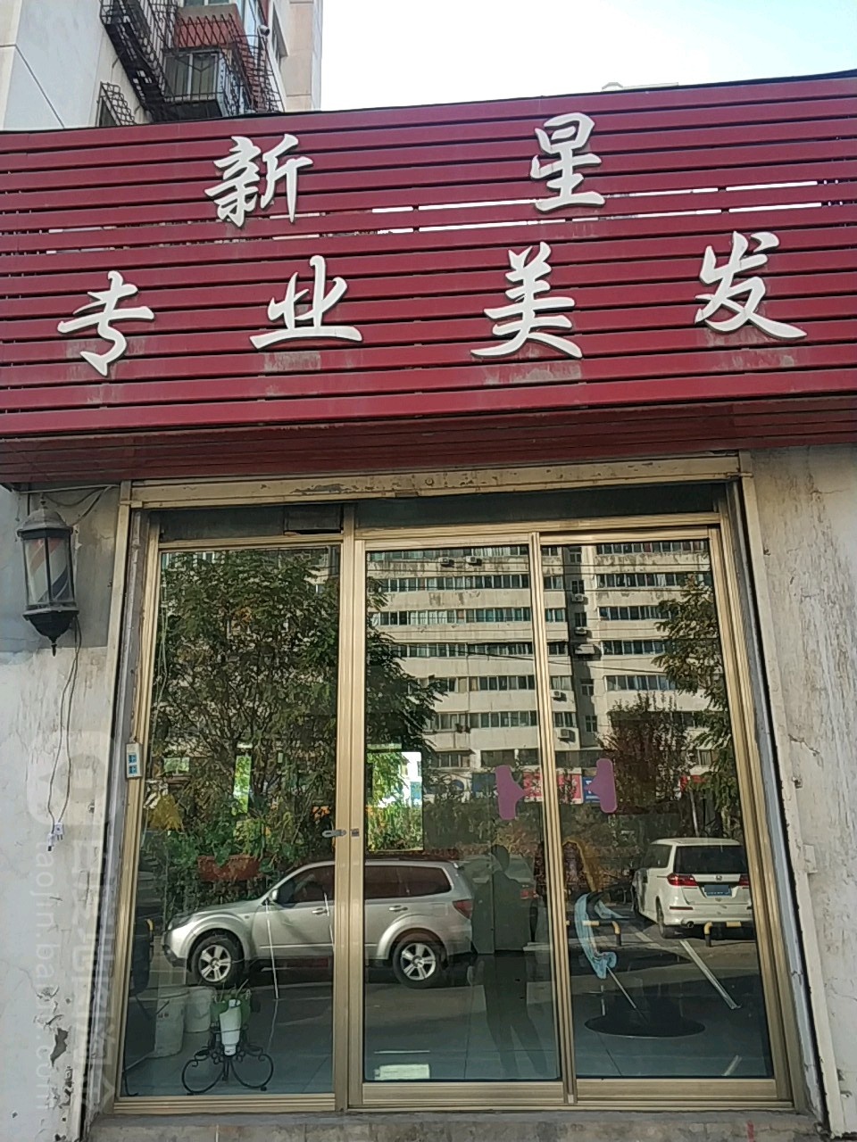 新星专业美发(瑞德大道店)