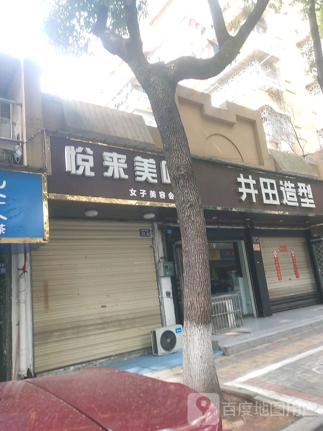 井田造型