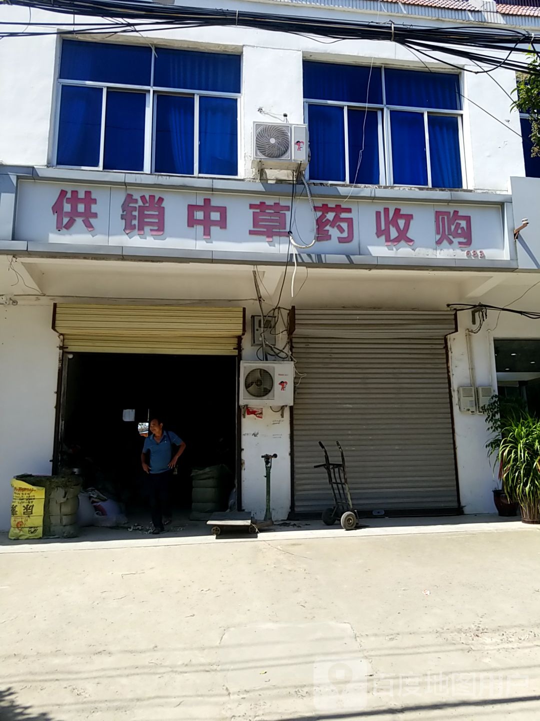 供销中草药收购