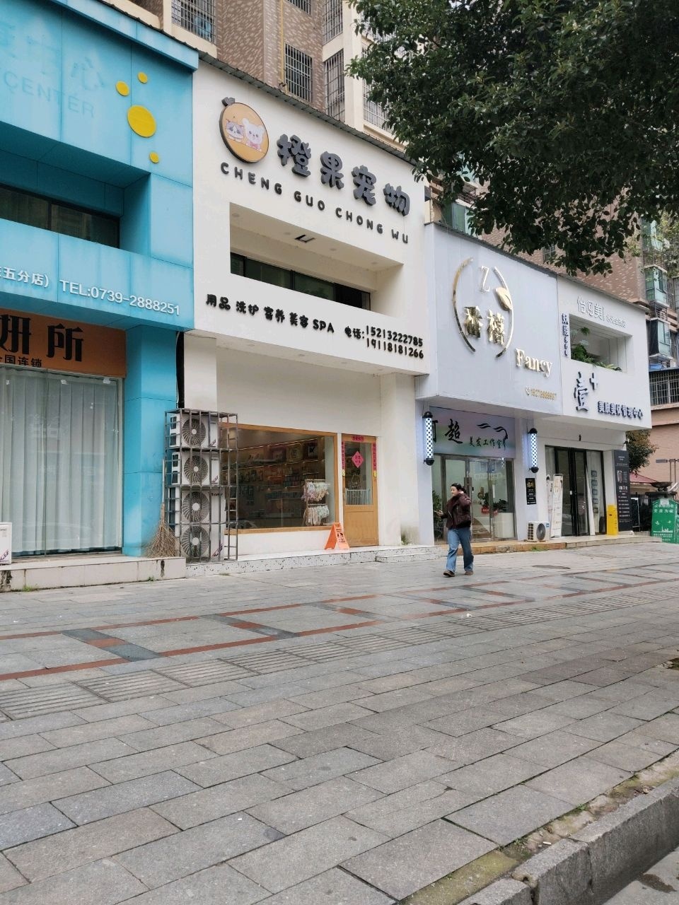 橙果宠物