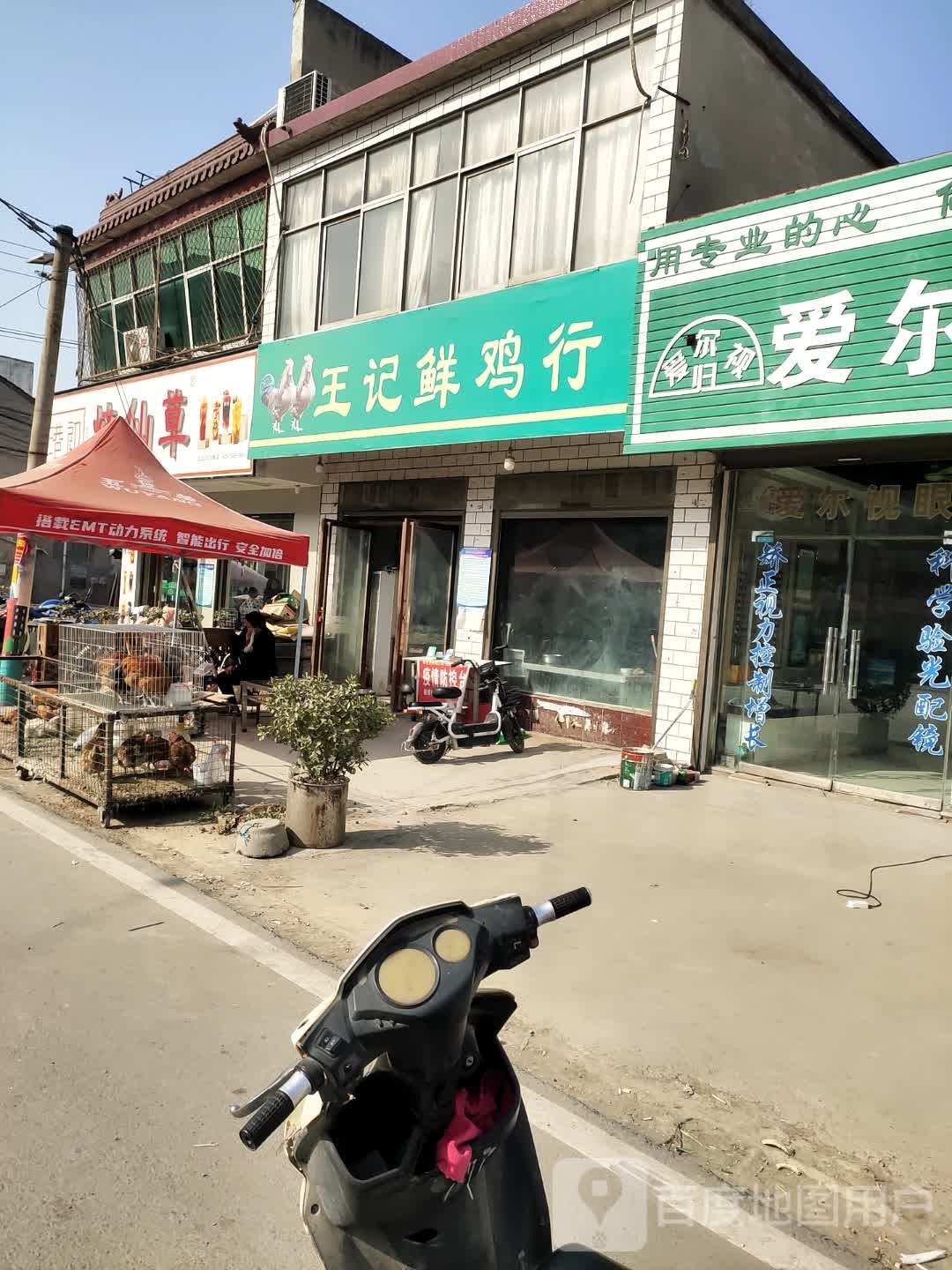 沈丘县纸店镇王记鲜鸡行