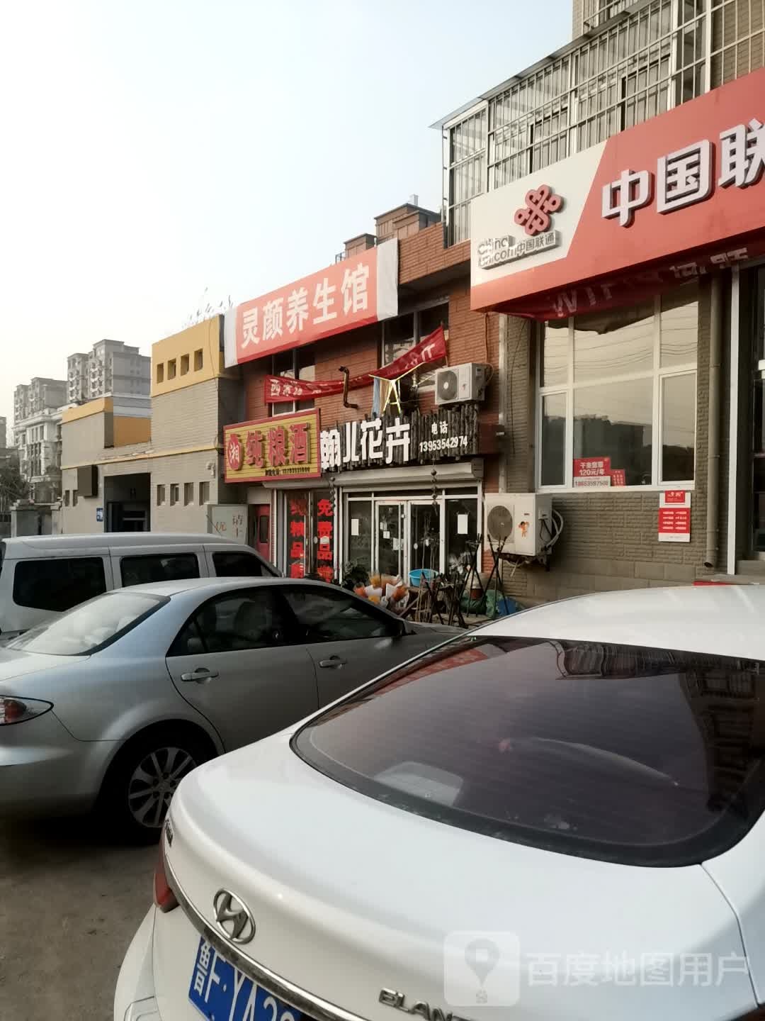 翰儿花卉