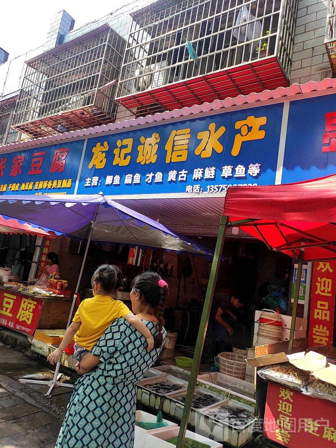 龙记诚心水产
