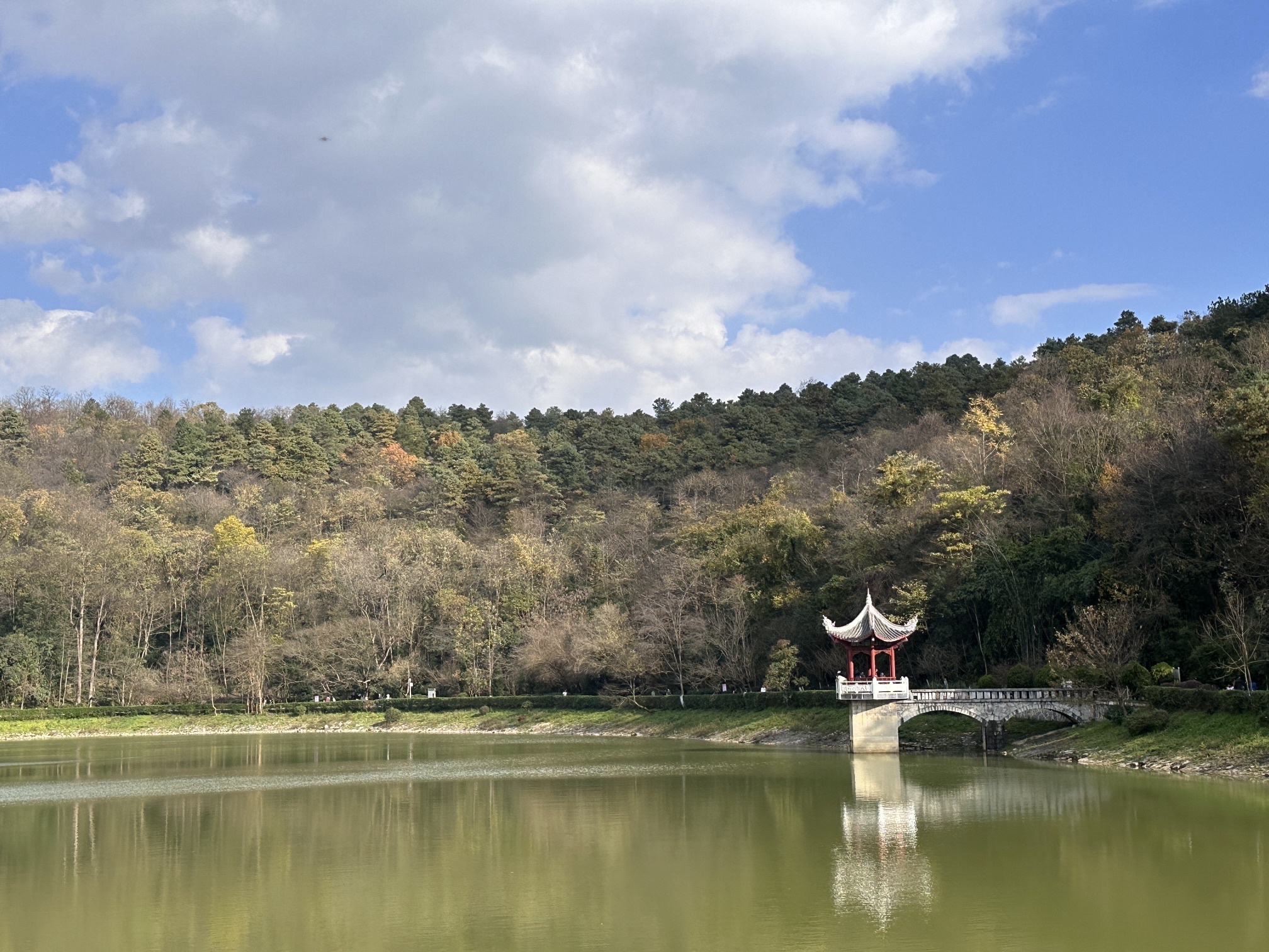 长坡岭国家森林公园