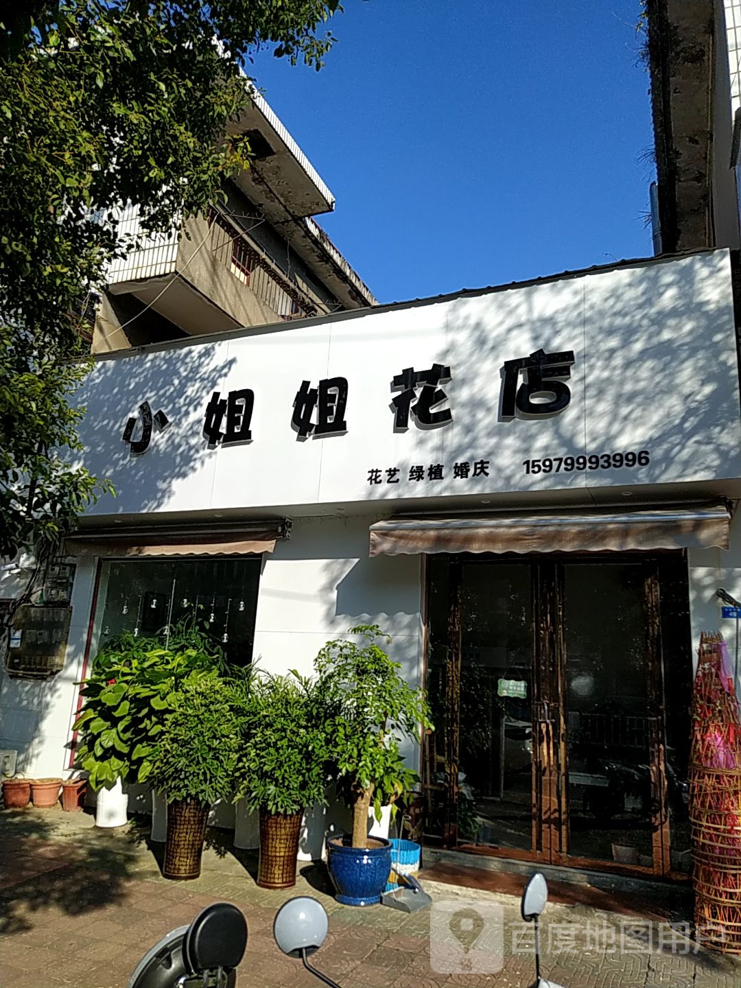 小姐姐花店