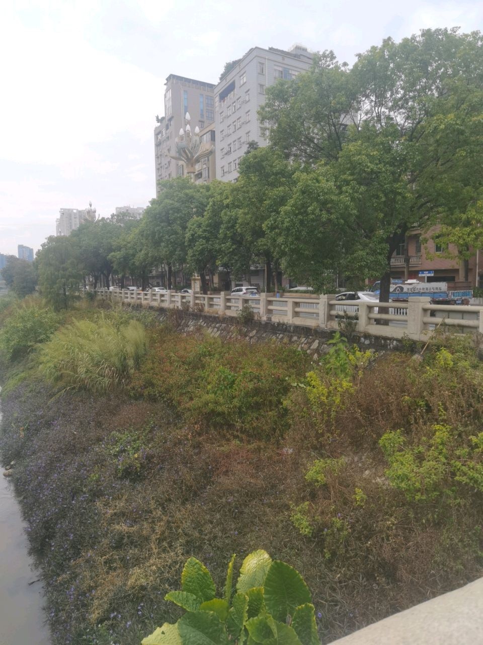 大陂河碧道