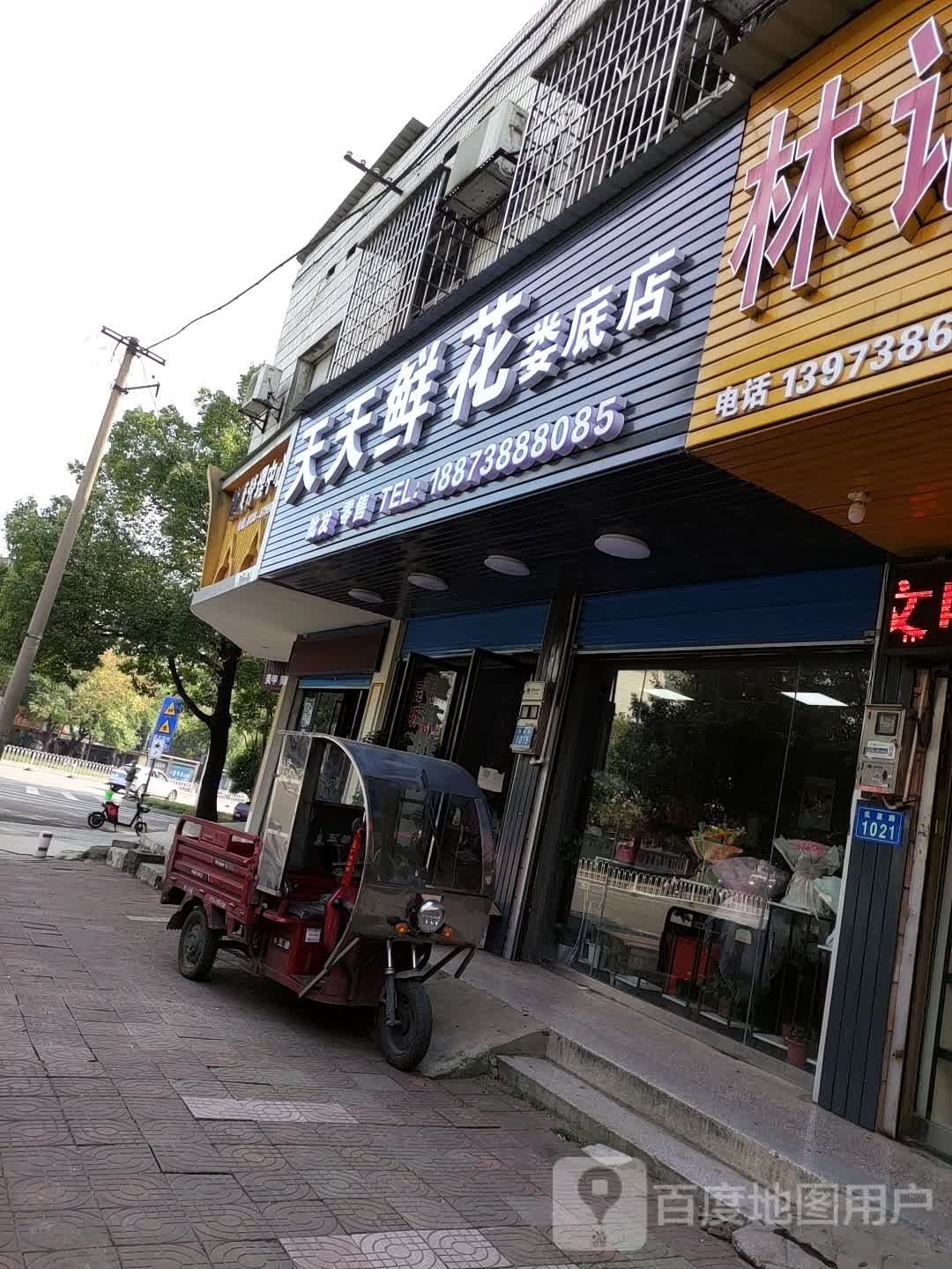 天天鲜花(娄底店)