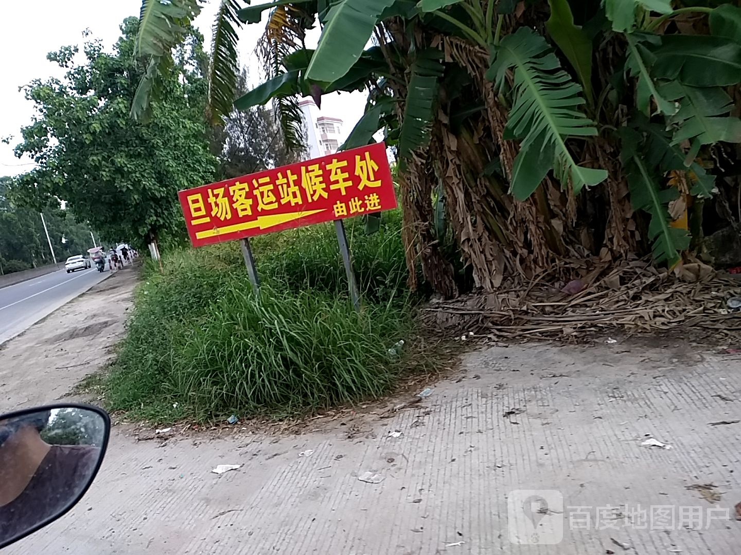 广东省茂名市电白区旦场镇广南线