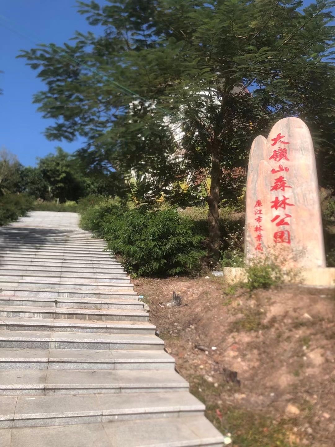 大岭山森林公园