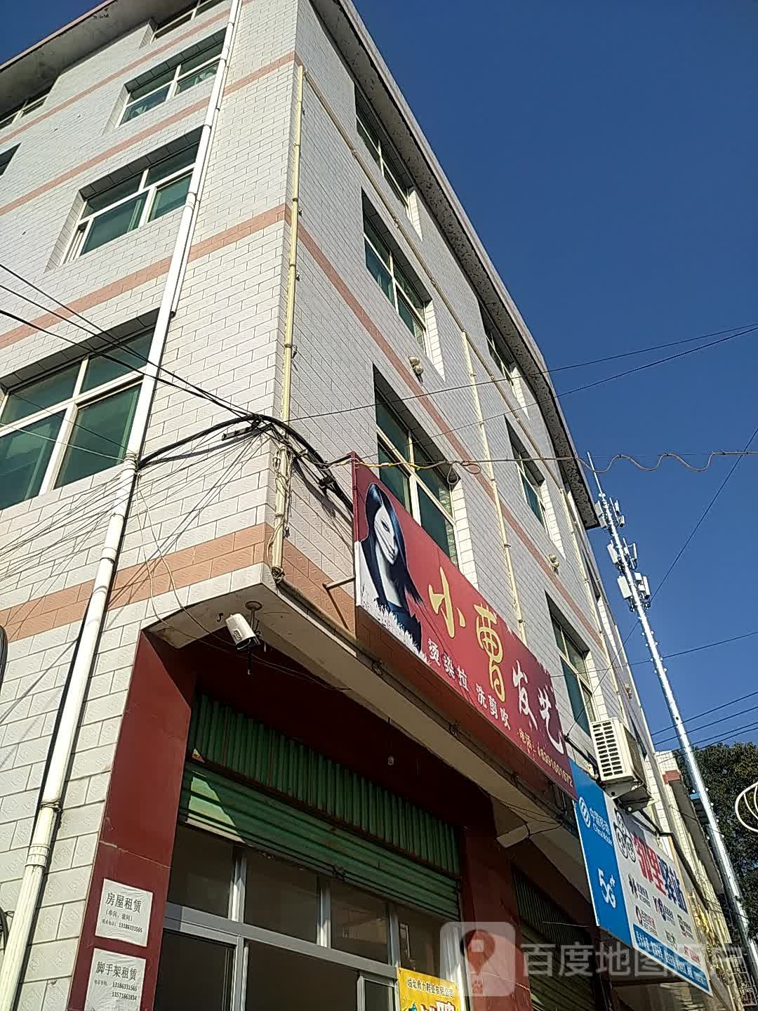 小曹发艺社