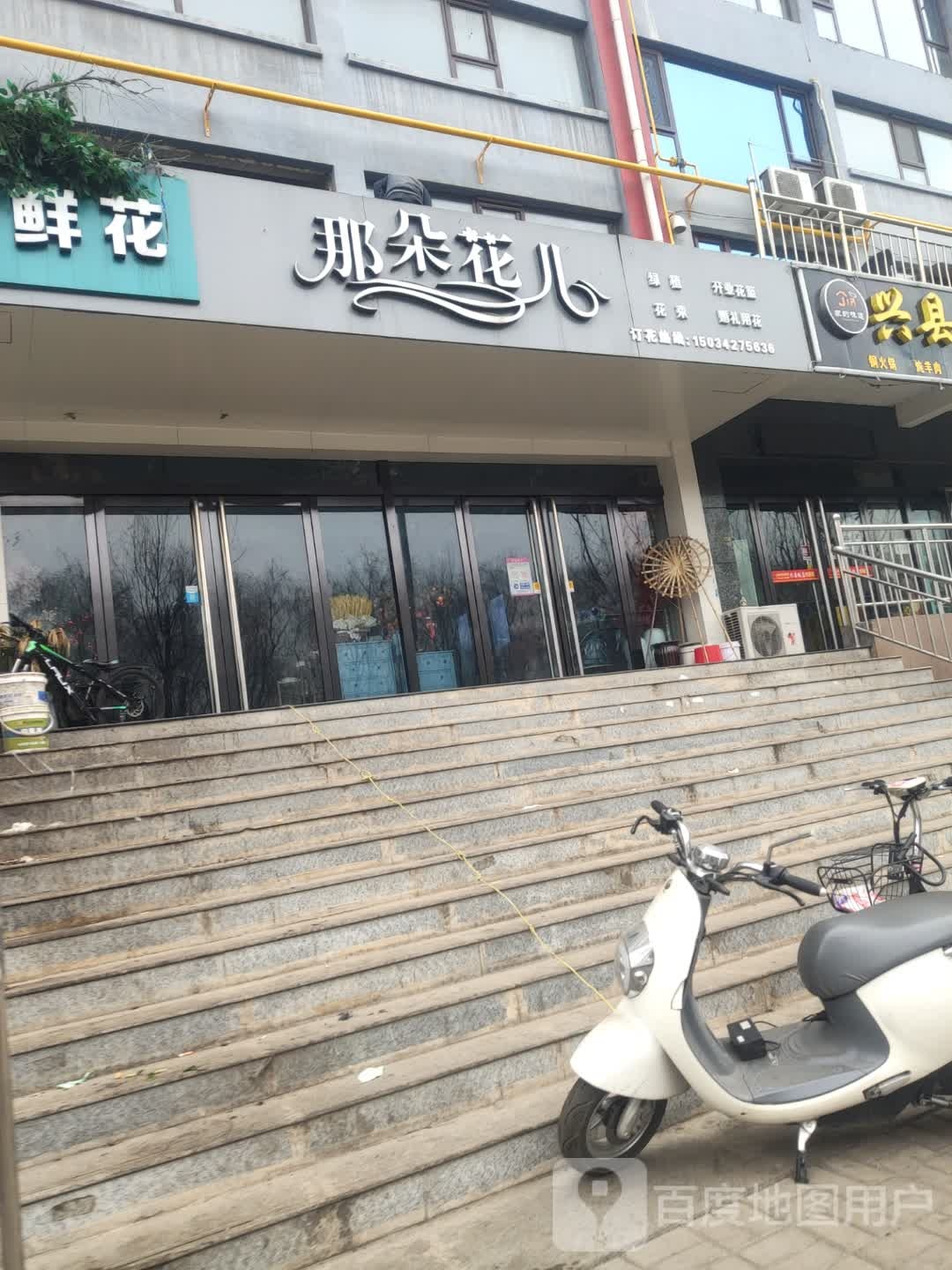 那朵花儿