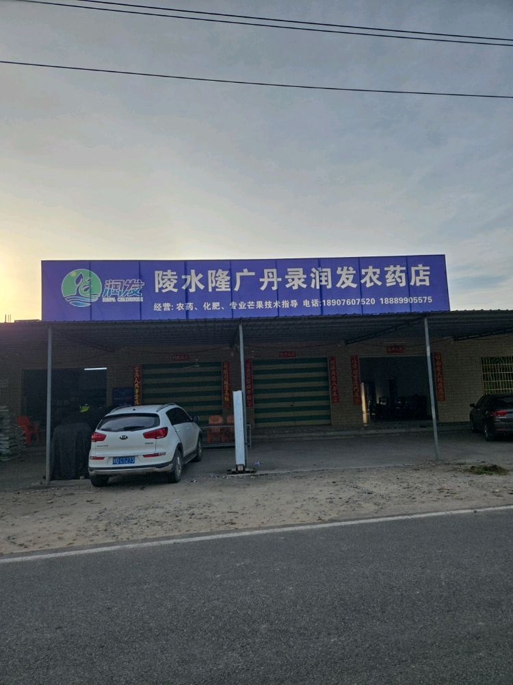 陵水隆广丹录润发农药店