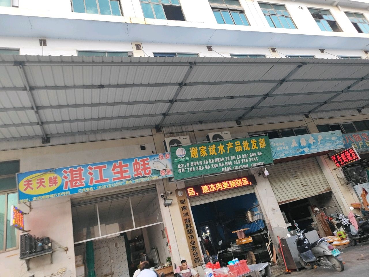 天天鲜湛江生蚝