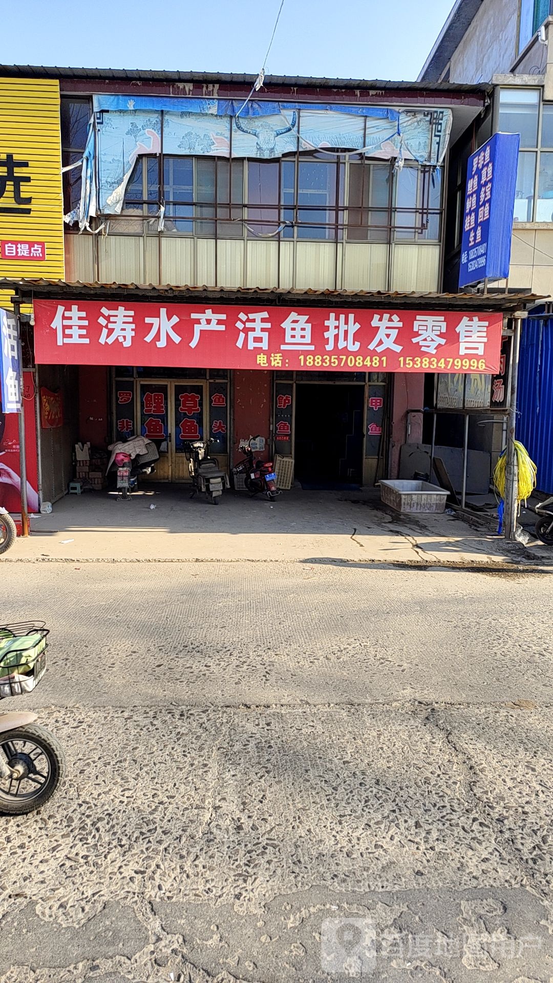 佳涛水活鱼鱼批发