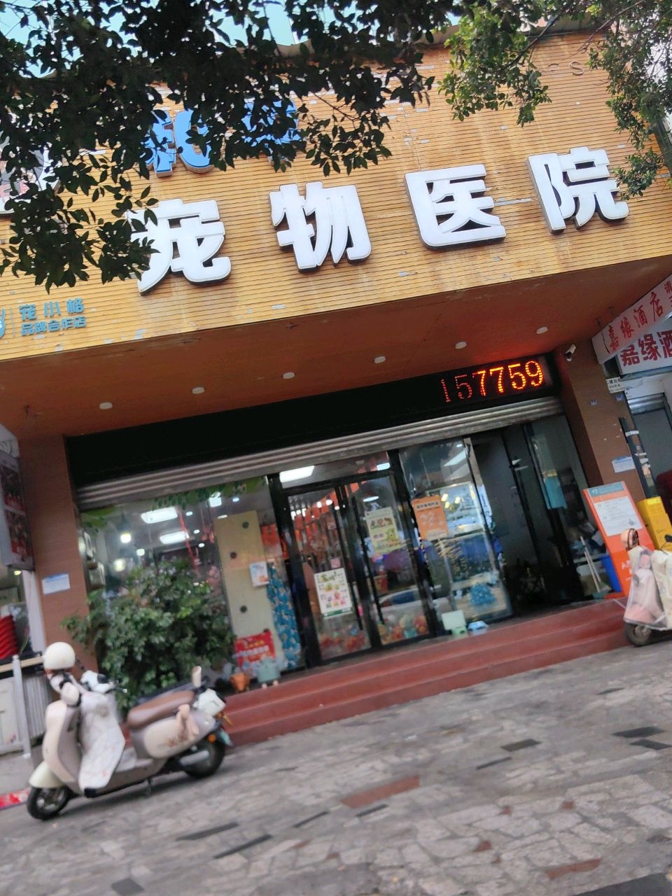知乎宠物医院