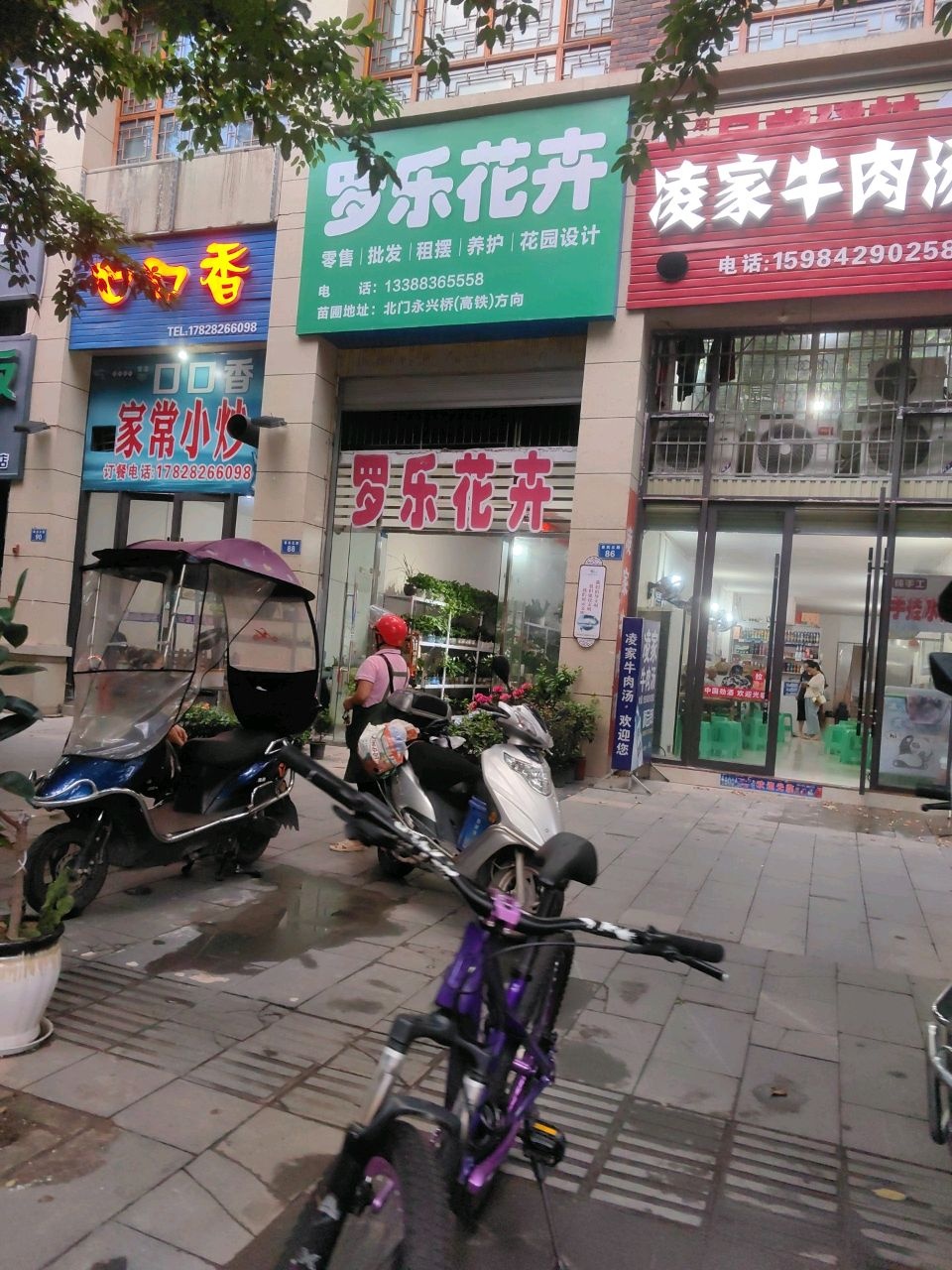 家常小炒