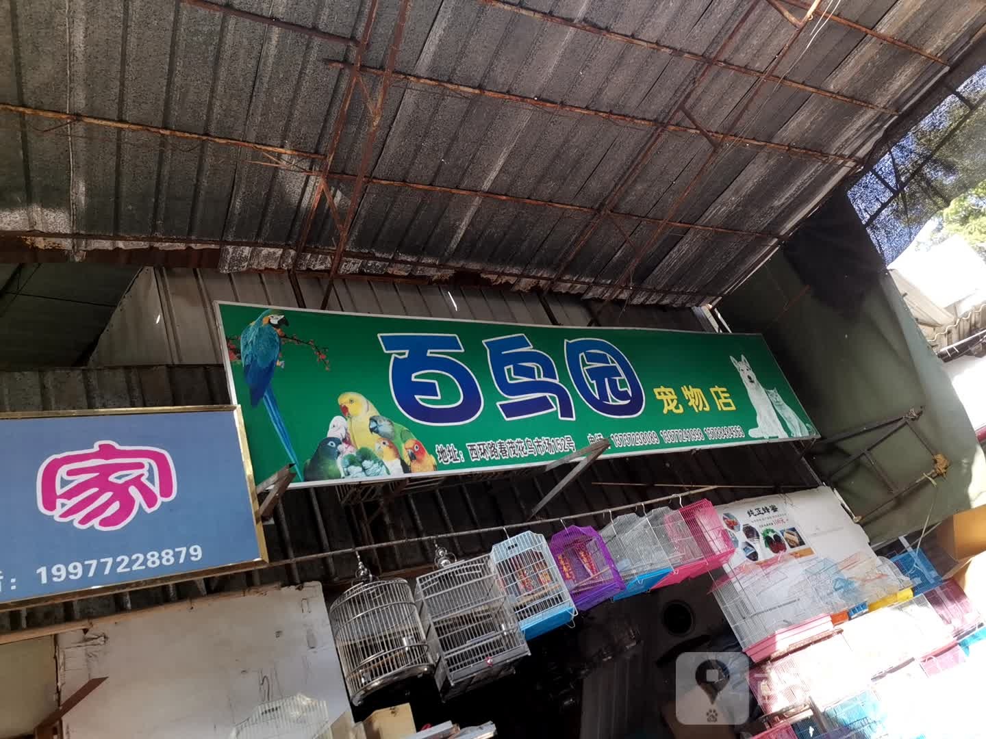 百鸟园宠物店